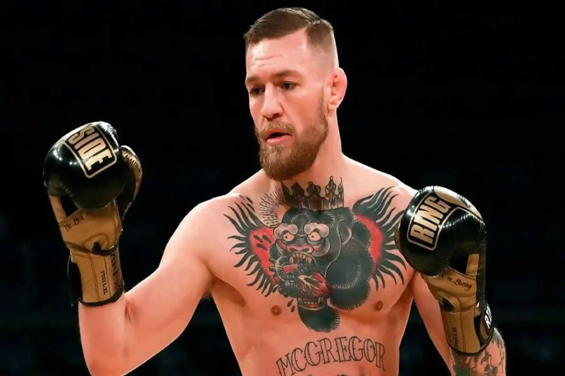 Conor Mcgregor Net Worth: An In-Depth Look at his Career & Life