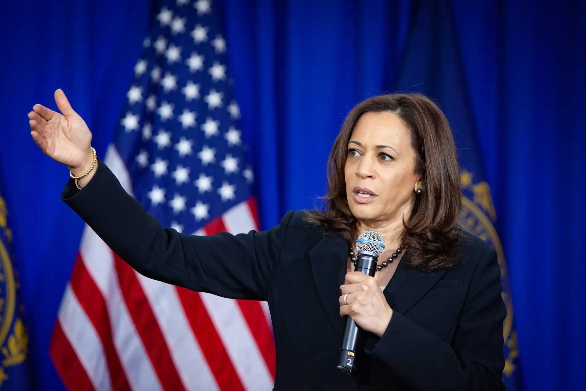 How Much is Kamala Harris's Net Worth and Salary in 2024?